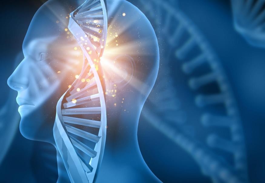 肝臟缺血再灌注立早基因表達的研究進展